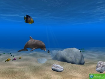 скриншот DOLPHIN AQUA LIFE 3D SCREENSAVER