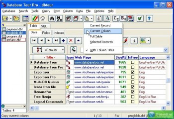 скриншот Database Tour