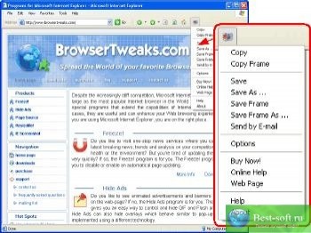скриншот IE Screenshot Pro
