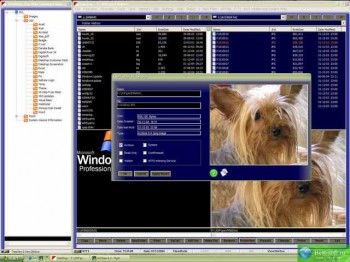 скриншот DiskShop