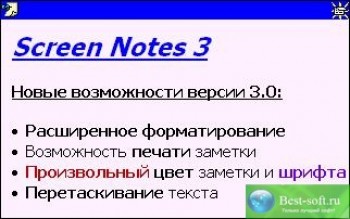 скриншот Screen Notes