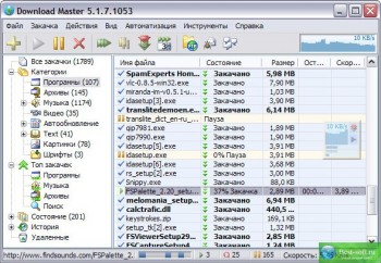 скриншот Download Master