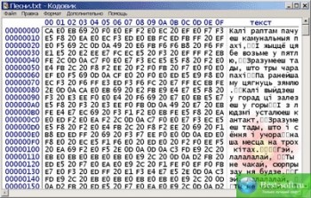 скриншот Кодовик