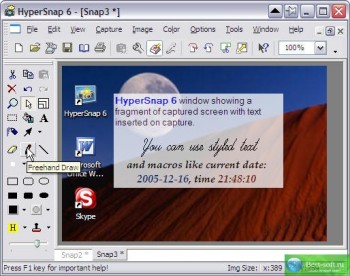 скриншот HyperSnap-DX