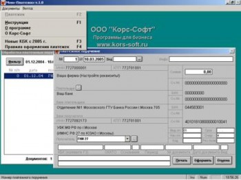 скриншот Мини Платежки - Платежные поручения