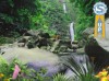 фотография Водопад в джунглях 
