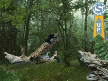 скриншот Три медведя