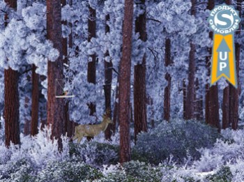 скриншот Снегири