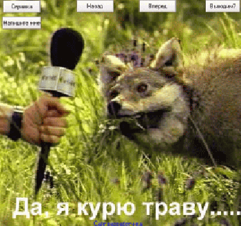 скриншот Fun pictures