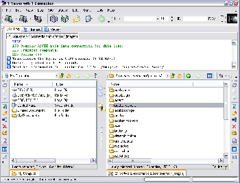 скриншот AceFTP 3 Freeware