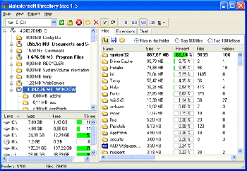 скриншот Directory Size
