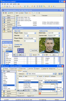 скриншот DBACentral for MySQL