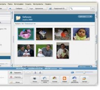 скриншот Picasa