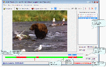 скриншот WMV Direct