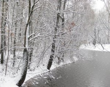 скриншот Скрин сейвер