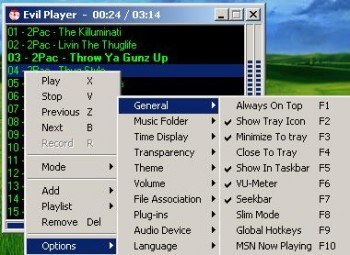 скриншот Evil Player