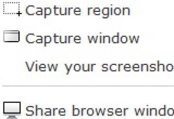 скриншот Screenleap for Firefox