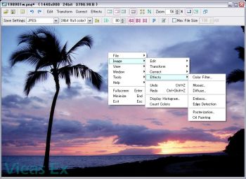 скриншот Vieas Ex
