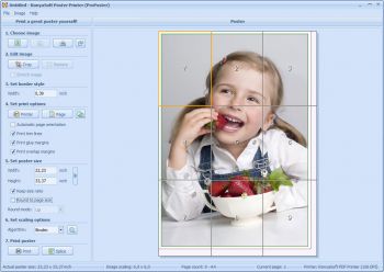 скриншот SmartPrintLab Poster Printer
