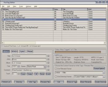 скриншот FoxTag Editor