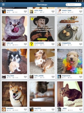 скриншот Padgram - Instagram viewer for iPad