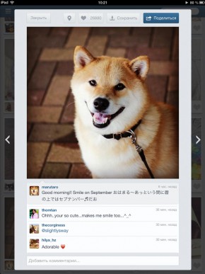 скриншот Padgram - Instagram viewer for iPad