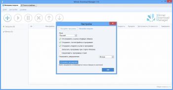 скриншот Winner Download Manager