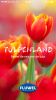 Tulpenland - Best-soft.ru