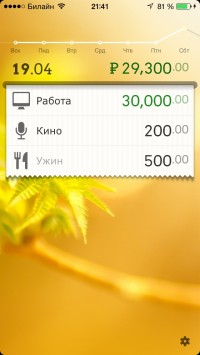 скриншот DailyCost