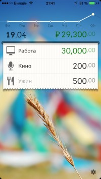 скриншот DailyCost