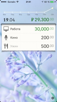 скриншот DailyCost