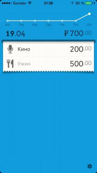 скриншот DailyCost