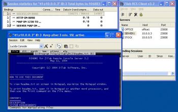 скриншот Zilab Remote Console Server