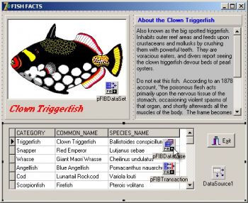 скриншот Devrace FIBPlus for Borland InterBase and Firebird