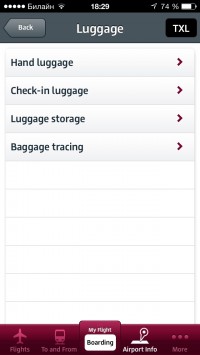 скриншот Berlin Airport