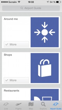 скриншот Frankfurt Airport (FRA Airport)