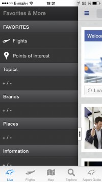 скриншот Frankfurt Airport (FRA Airport)