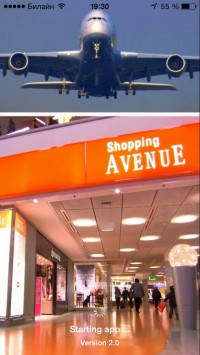 скриншот Frankfurt Airport (FRA Airport)