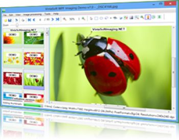 скриншот VintaSoftImaging.NET SDK