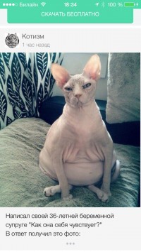 скриншот Мята для Вконтакте