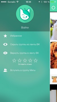 скриншот Мята для Вконтакте