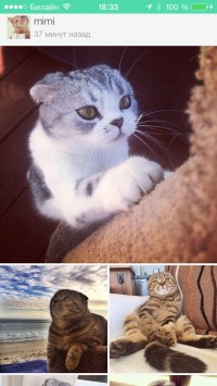 скриншот Мята для Вконтакте