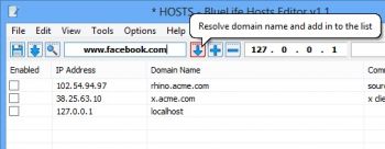 скриншот BlueLifeHosts editor