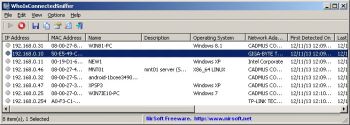 скриншот WhoIsConnectedSniffer