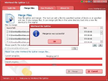 скриншот WinMend File Splitter