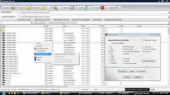скриншот Duplicate files util
