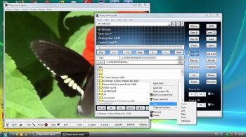 скриншот Player wmm
