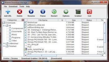скриншот Xtreme Download Manager