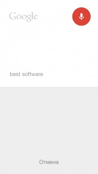 скриншот Google