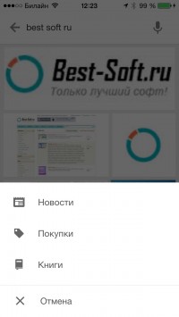скриншот Google
